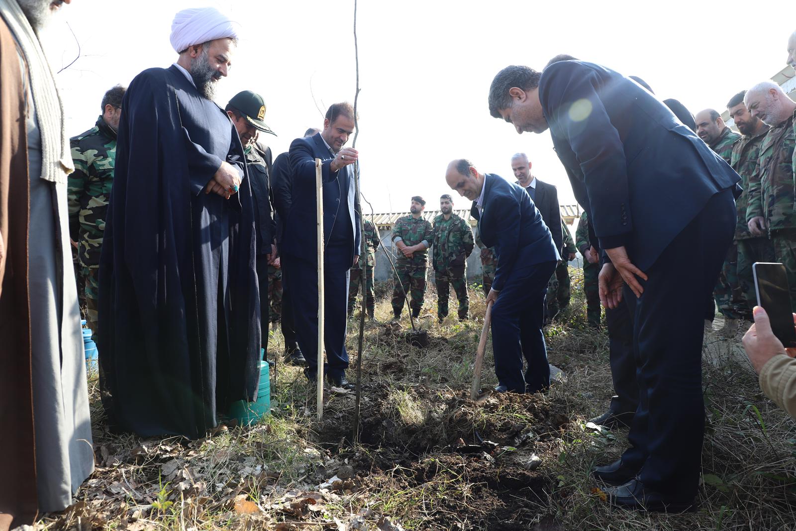درختکار...